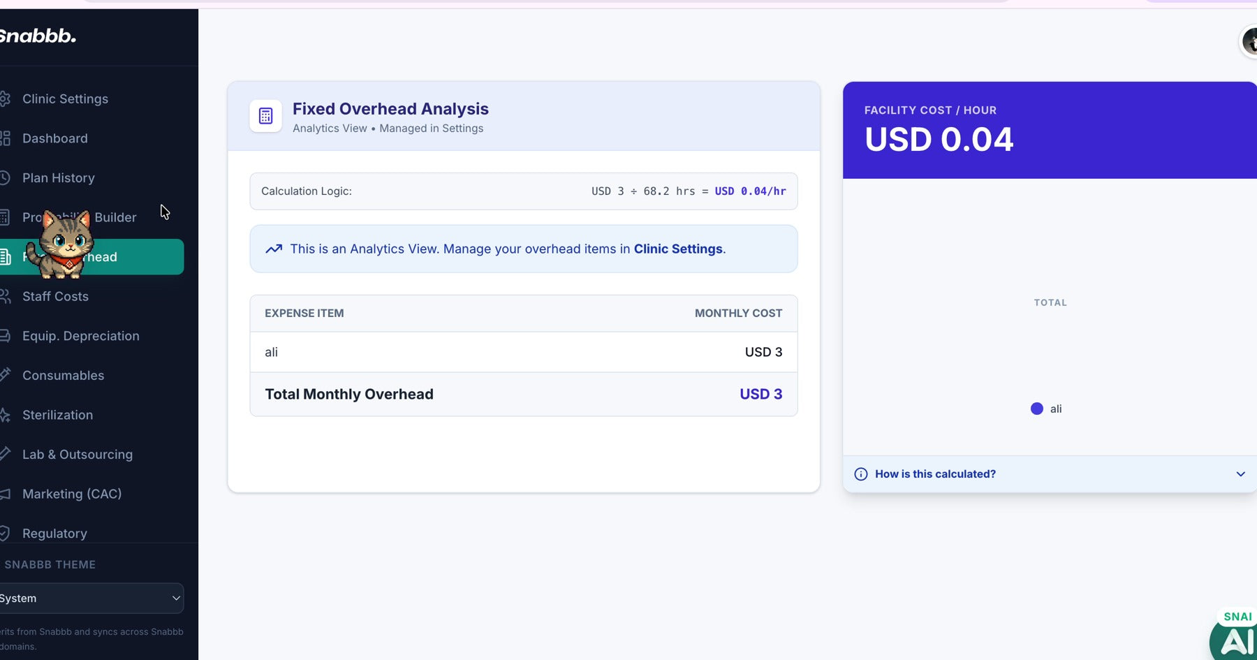 Snabbb fixed overhead analysis